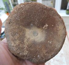 Large ichthyosaur vertebra for sale  BURGESS HILL