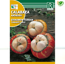 Calabaza Turbante Turco ( 5 gr / 20 semillas ) Seeds Giraumon Turban segunda mano  Linares