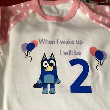 Novelty bluey birthday for sale  DOWNPATRICK