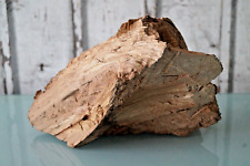 Holz wurzel buche gebraucht kaufen  Remscheid-West