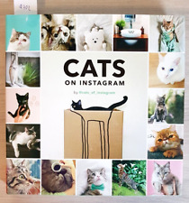 Cats instagram chronicle usato  Vaiano Cremasco