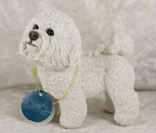 Bichon frise inches for sale  CAMELFORD