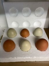 Fertile chicken eggs for sale  CANTERBURY