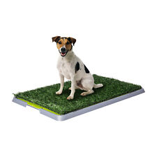 Usato, Lettiera MAXI assorbente per cucciolo cane con erba sintetica per casa giardino usato  Caserta