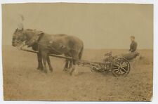 Fotografía antigua de albúmina a máquina agrícola de dos caballos para mujer montando dos caballos C10, usado segunda mano  Embacar hacia Argentina