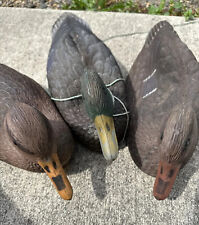 inflatable duck decoys for sale  Eugene