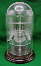 Large glass cloche for sale  LIGHTWATER