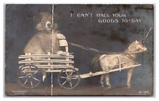 C1907 rppc dog for sale  Oakland