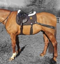 Equine band core for sale  SEAFORD