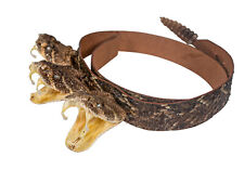 Texas western rattlesnake for sale  Antwerp
