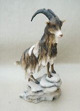 Teviotdale mountain goat for sale  SANDHURST