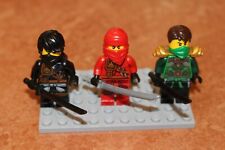 Lego ninjago ninja gebraucht kaufen  Remscheid-Nord