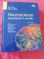 Neuroscienze. esplorando cerve usato  Vertemate Con Minoprio
