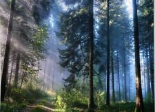 "Tapiz de pared colgante o tapiz de bosque, sol a través de árboles, 90,6"" × 59" segunda mano  Embacar hacia Argentina