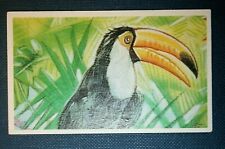 Cartão de arte da vida selvagem TOCO TUCAN BD26 comprar usado  Enviando para Brazil