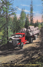 Hauling pine logs for sale  Albany