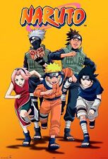 DVD Naruto série completa anime inglês comprar usado  Enviando para Brazil