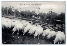 1916 flock beauties for sale  Terre Haute