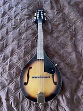 String style mandolin for sale  Lancaster