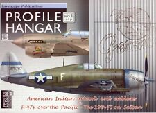 Profile hangar american gebraucht kaufen  Eschweiler