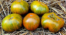 Pomidory "KosulaZebra Wielka (Żółta zebra 179)", козула зебра желтая, 2024, używany na sprzedaż  Wysyłka do Poland