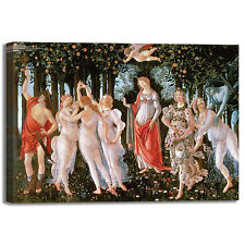 Botticelli primavera design usato  Vercelli