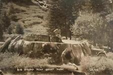 California rppc big for sale  Foresthill