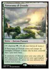 Mtg panorama fronde usato  Santa Maria A Monte