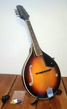 Mandolin Richwood Included Accessories for sale  Shipping to South Africa
