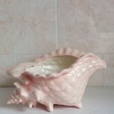 Atlantic mold seashell for sale  KETTERING