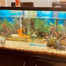 250 gallon fish tank for sale  Aurora