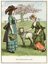 Ungrateful lamb girl for sale  Timberon