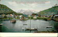 Postcard 5009. sitka for sale  USA