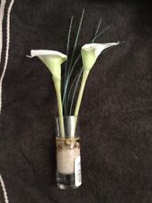 Orchard calla lily for sale  PORTSMOUTH