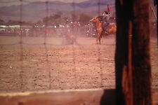 Kodachrome red border for sale  Las Cruces