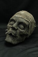 Testa mummia egiziana usato  Torino