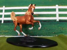 Arabian horse equine for sale  Auburn