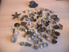 Large lot reef for sale  DEVIZES