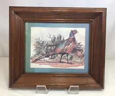 Vintage pheasants framed for sale  Salem