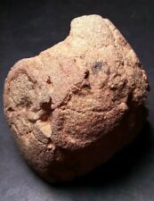 Prehistoric paleo american for sale  Gresham