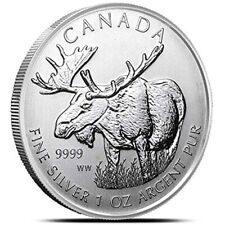 2012 canadian moose for sale  Boca Raton