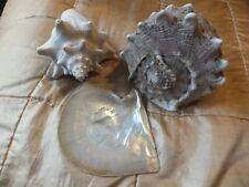 Collection seashells helmet for sale  CONGLETON