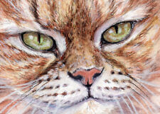 Aceo original tabby d'occasion  Toulon-