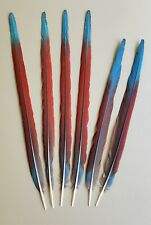 Lot Of 6 Green Wing Macaw Tail Feathers 20"-24" Naturally Molted for sale  Shipping to South Africa