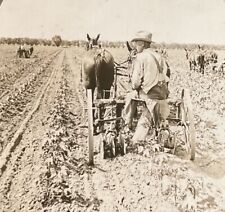 Maricopa cotton field for sale  Tualatin