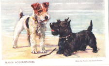 Vintage art postcard for sale  MATLOCK