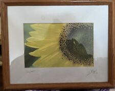 Sunflower photograph painting for sale  Morganville