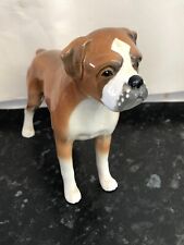 Boxer dog tan for sale  MARAZION