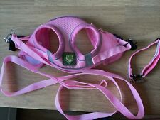 Kittens pink harness for sale  WINDSOR