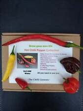 Grow hot chilli for sale  BRIERLEY HILL